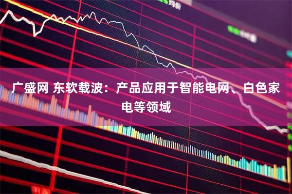 广盛网 东软载波：产品应用于智能电网、白色家电等领域
