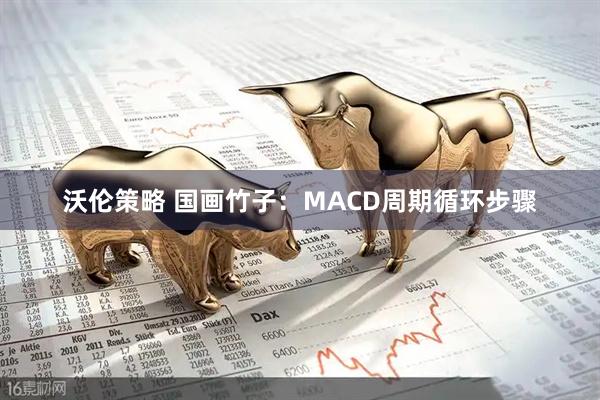 沃伦策略 国画竹子：MACD周期循环步骤